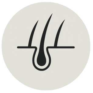 Black icon of a hair follicle